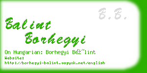 balint borhegyi business card